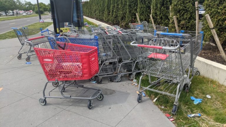 Trash, shopping carts a problem in Bustleton