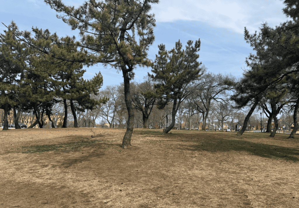 The Philadelphia Parks and Recreation department