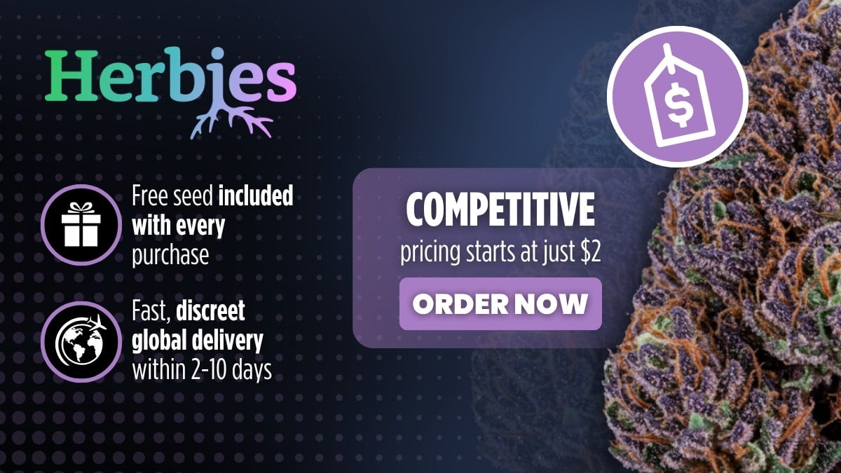 6 Best Seed Banks of 2026 With International and Discreet Shipping