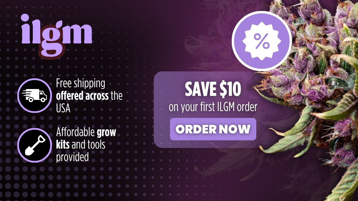 6 Best Seed Banks of 2026 With International and Discreet Shipping