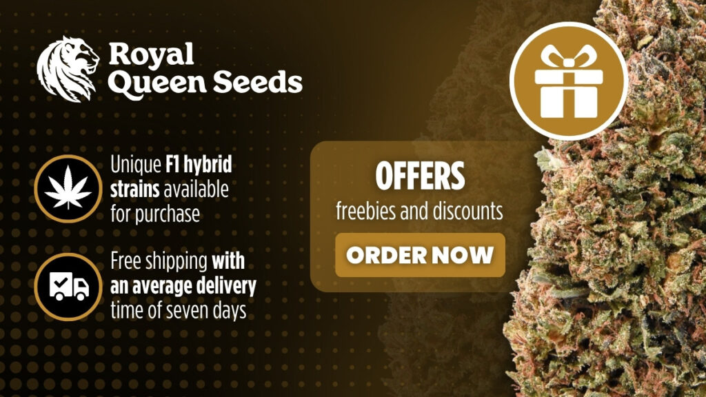Royal Queen Seeds