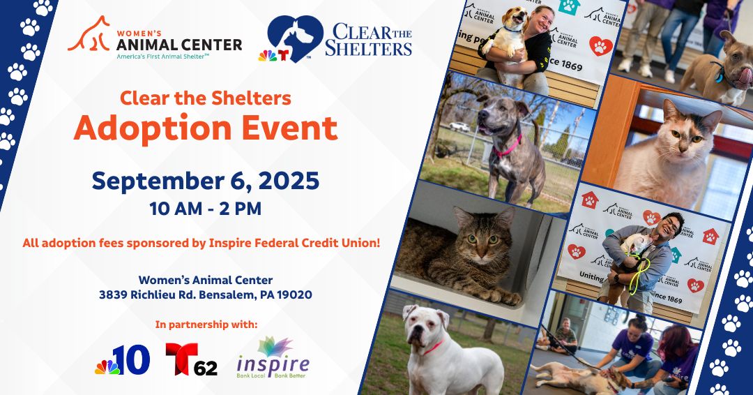‘Clear the Shelters’ Sept. 6 at Women’s Animal Center