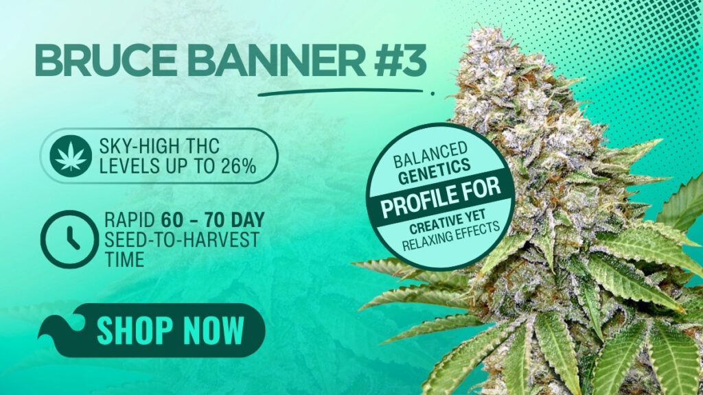 Bruce Banner #3