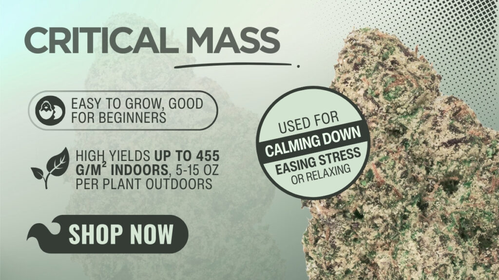 Critical Mass