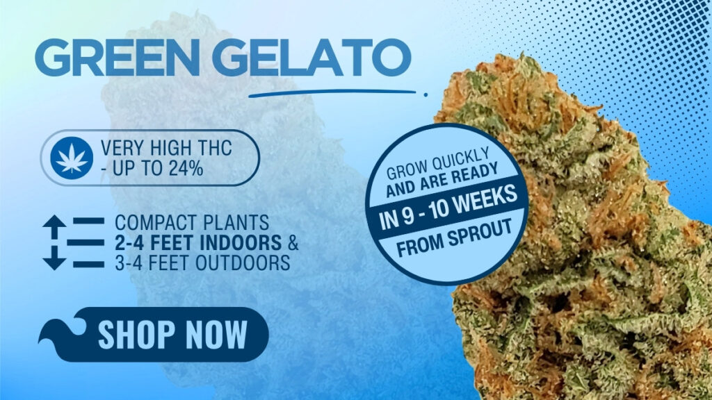 Green Gelato