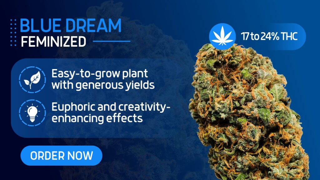 Blue Dream