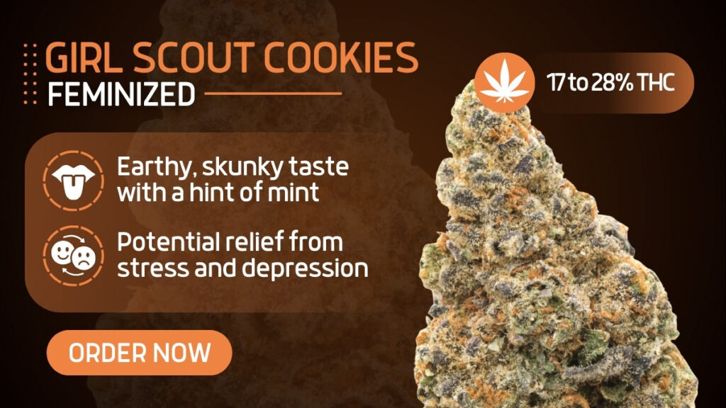 Girl Scout Cookies