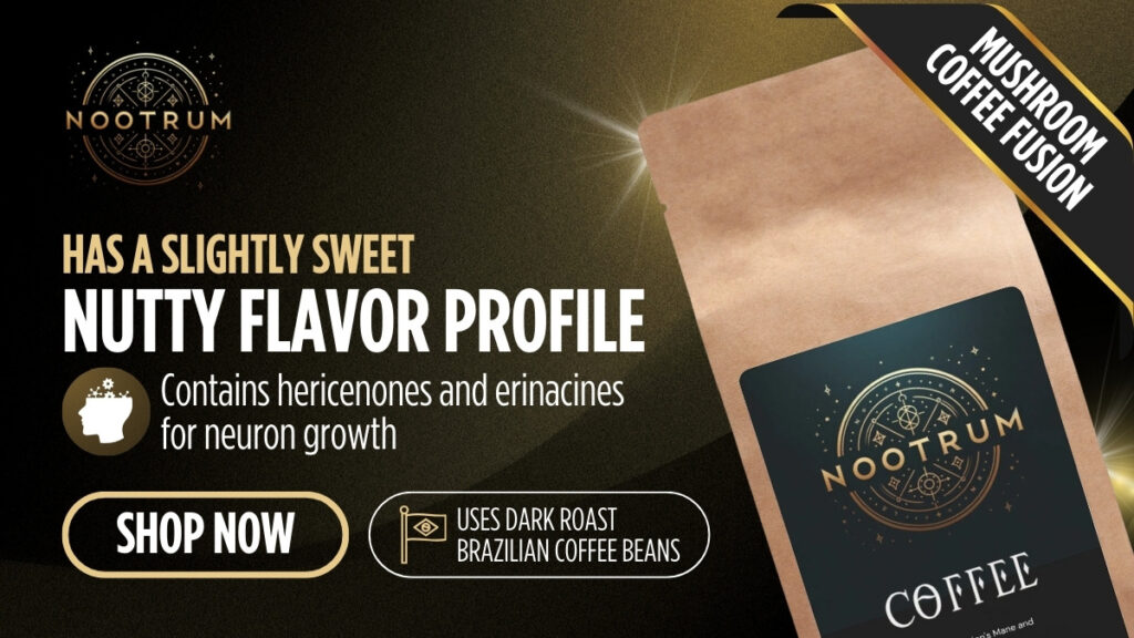 Nootrum Mushroom Coffee Fusion