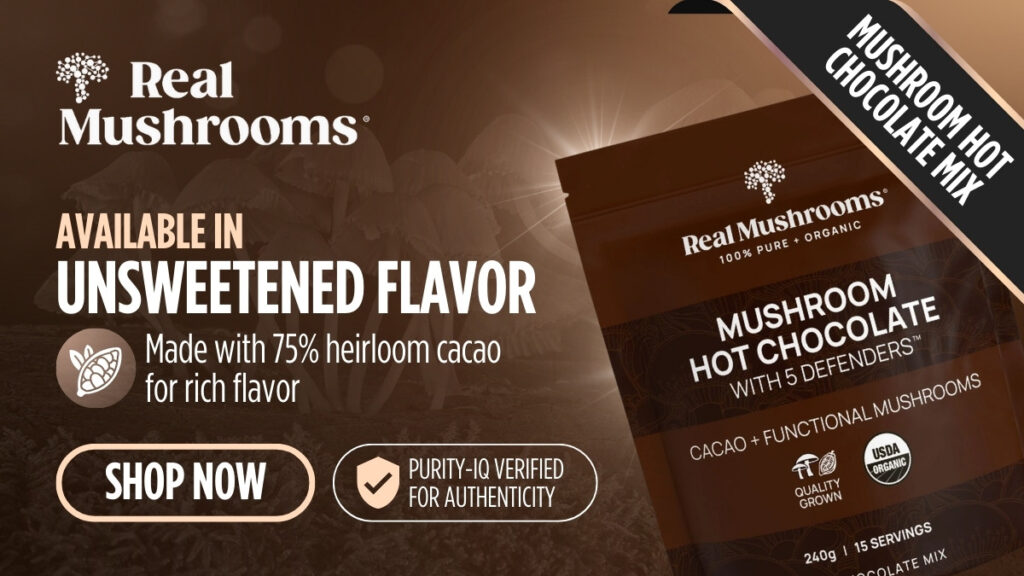 Real Mushrooms Mushroom Hot Chocolate Mix