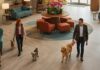Explore Pet-Friendly Hotels Philadelphia Travelers Will Love Pet-Friendly Hotels Philadelphia