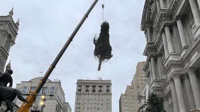 Philly’s City Hall Holiday Tree