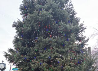 Fox Chase in the holiday spirit