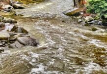 Best Things to Do in Bucks County, PA Pennsylvania covered bridge in autumn - Bucks County